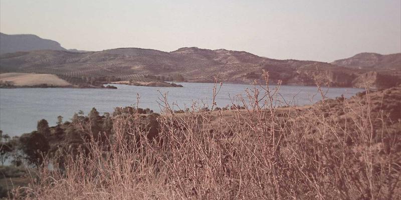 大连招商3.1：创新驱动下的招商引资新格局与项目投资机遇