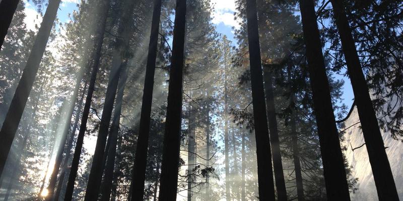 大连招商53:解读产业园区新机遇,把握项目投资新风口