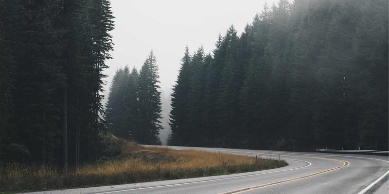 大连招商54：以创新驱动与开放姿态，谱写新时代招商引资新篇章