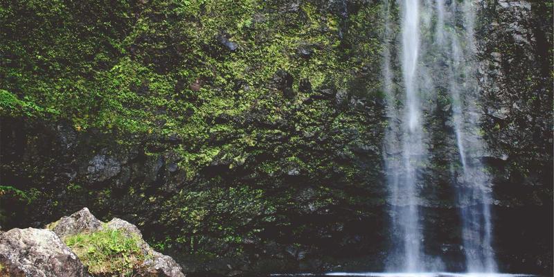 大连招商57：解锁东北亚经济新引擎的投资机遇