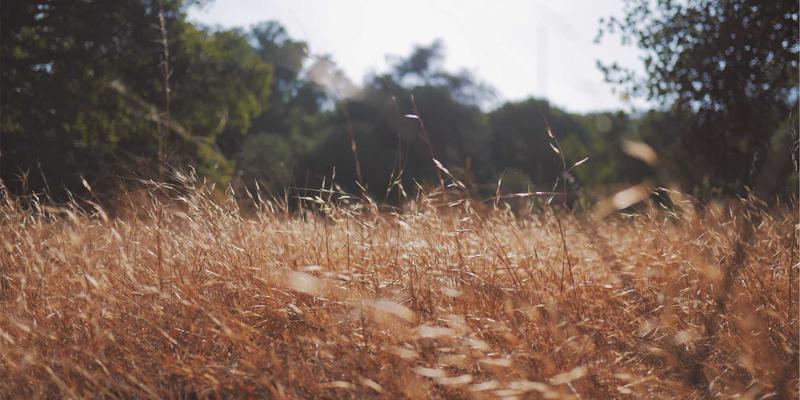 大连招商69：产业园区新引擎，驱动区域招商引资与项目投资新浪潮