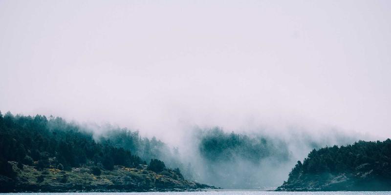 大连招商80：解锁东北亚商业机会与项目投资新蓝海