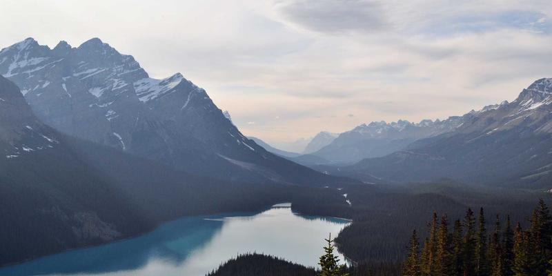 大连招商引资新趋势：把握商业机会，投资东北亚枢纽