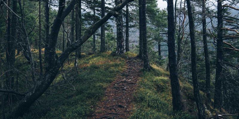 大连招商最佳实践：把握产业园区机遇，掘金北方经济新引擎