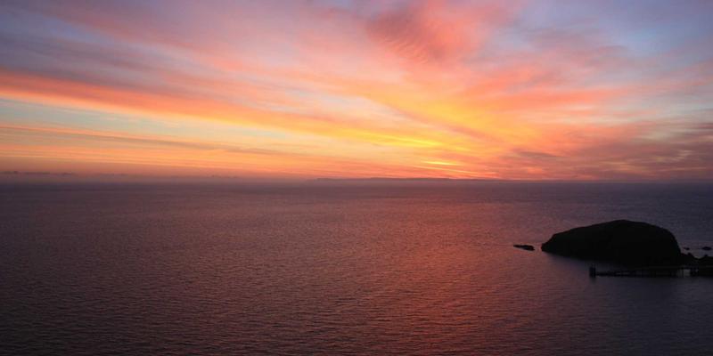 大连现代农业招商引资：智慧农业、精品农业与深加工项目引领产业升级