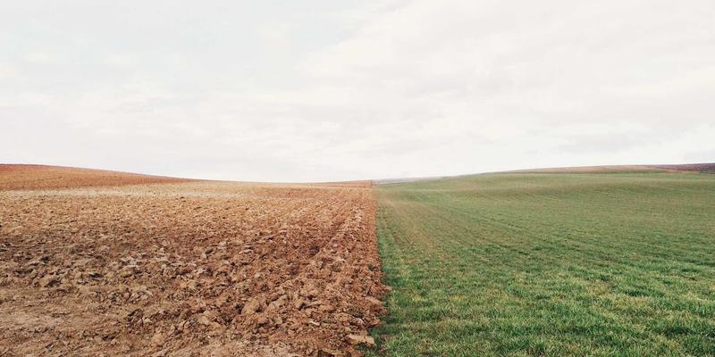 大连生物医药产业招商引资机遇：从研发到生产的全链条投资指南