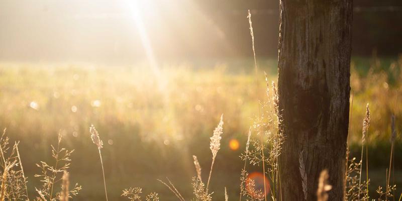 大连自贸片区：制度创新与金融开放双轮驱动，打造吸引外资的产业园区新高地