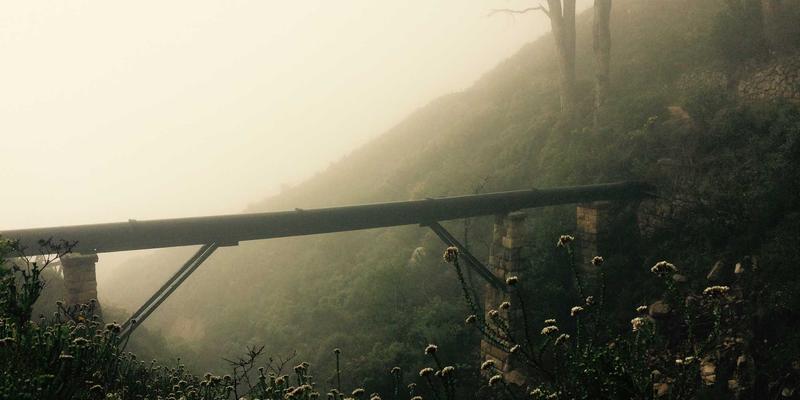 大连跨境电商与数字贸易招商引资：自贸试验区优势与产业园区商业机会深度解析