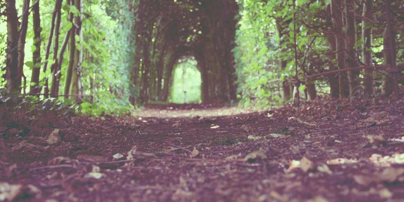 投资大连：外资企业设厂全流程指南与产业园区选择策略