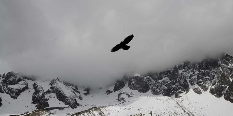 投资大连：把握东北亚战略门户，共创高质量发展新篇章