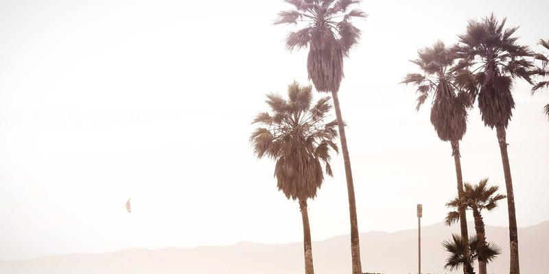 投资大连：把握东北亚战略门户的五大核心优势