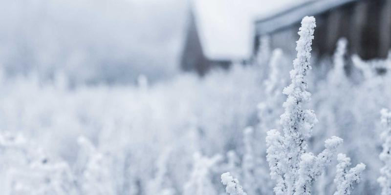 投资大连：把握金融业对外开放新机遇，聚焦金融科技、绿色金融与跨境金融