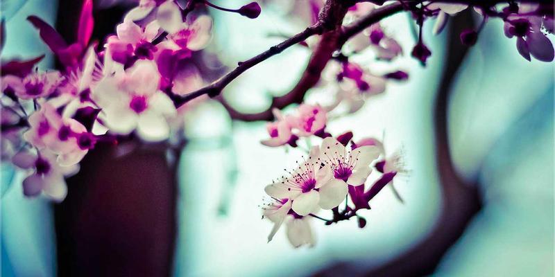 投资大连新蓝海：都市现代农业与食品加工产业机遇深度解析