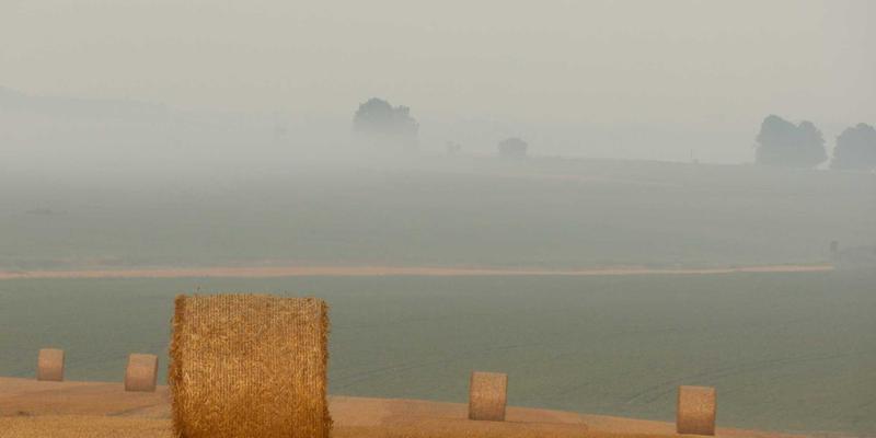 投资大连：聚焦智能制造与精密加工，抢占高端装备制造业新机遇