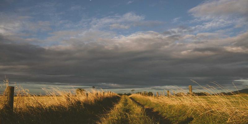 聚焦大连新材料产业招商引资：石墨烯与先进陶瓷材料的研发应用新机遇